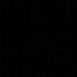 Meet your Posher, Zoey